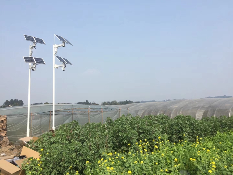 四川高原茶葉基地高原茶溯源用OKEYSET太陽能4G監控一體機