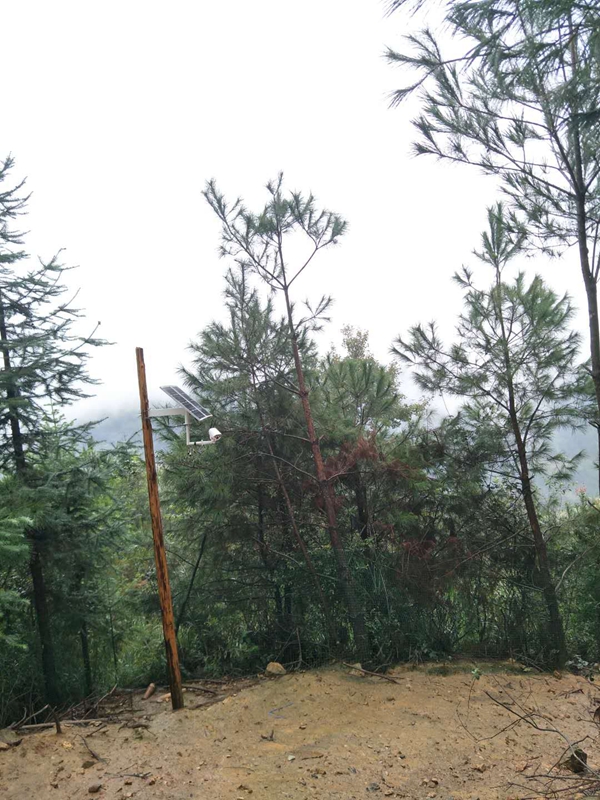 江西養雞場用OKEYSET太陽能監控攝像頭