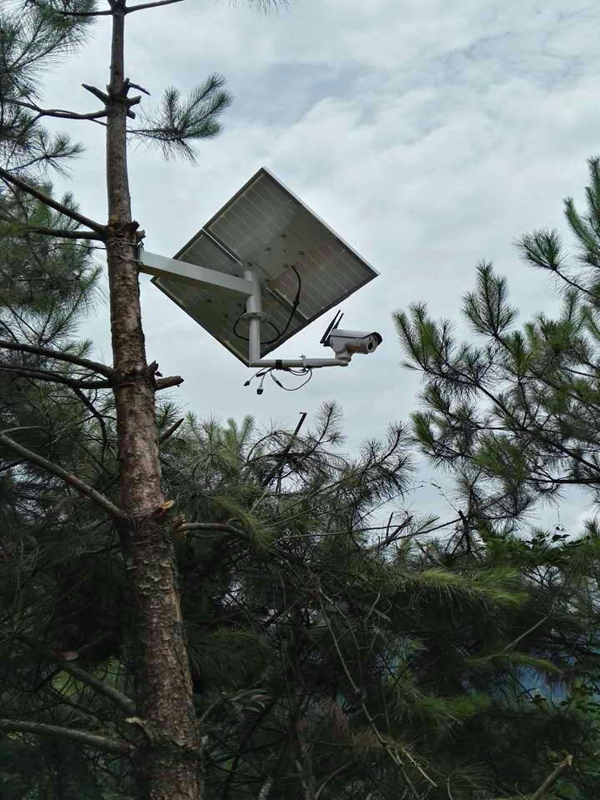 陜西秦嶺黑豬養豬場用okeyset太陽能監控攝像頭