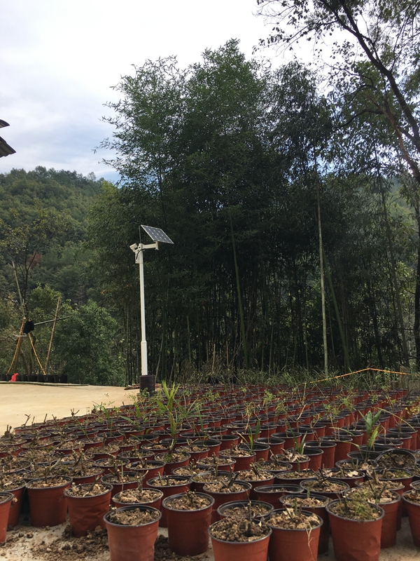 陜西安康生態智慧民宿用okeyset太陽能監控攝像頭