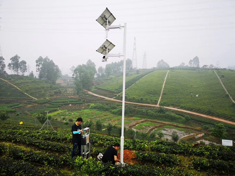 四川達州中藥材基地用okeyset太陽能監控攝像頭