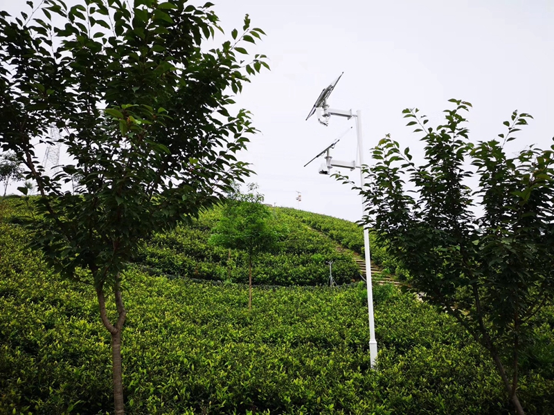 重慶江津中藥材基地用okeyset太陽能監控攝像頭