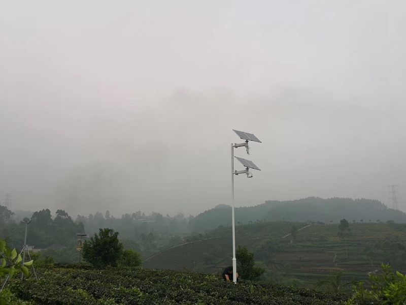 四川達縣中藥材基地用okeyset太陽能監控攝像頭