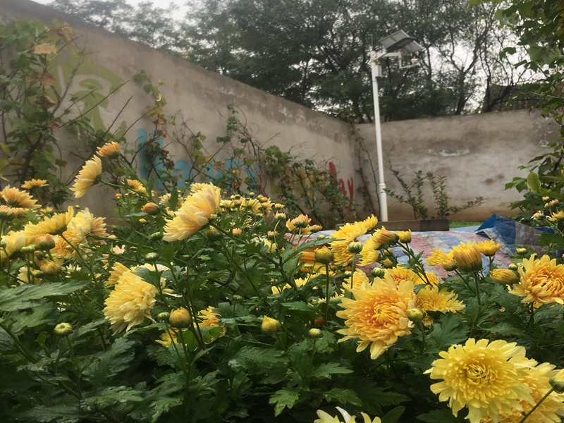 陜西渭南富平生態民宿用okeyset太陽能監控攝像頭