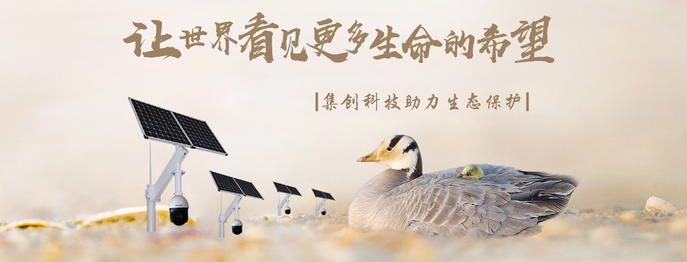 集科技大發展，創潔凈新能源