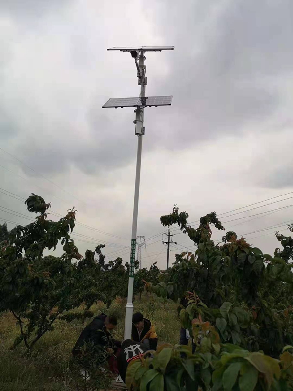 四川樂山高原茶葉基地用集創科技太陽能無線網橋監控系統