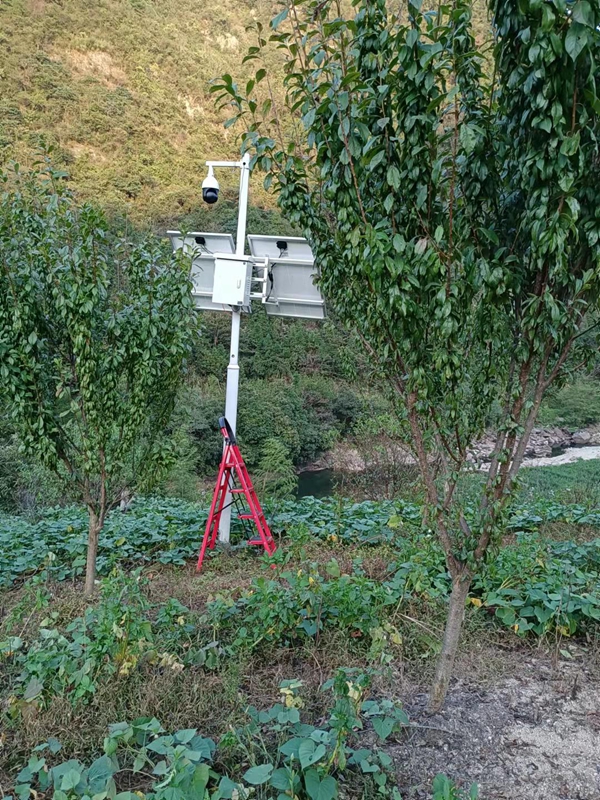 陜西漢中林業局用集創科技太陽能無線監控系統